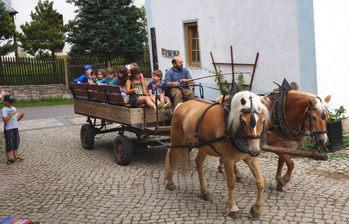 kleiner Kremser f&auml;hrt auf den Hof
