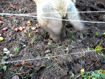 Bild: Wolfgang und Lucie beim Apfelschmaus